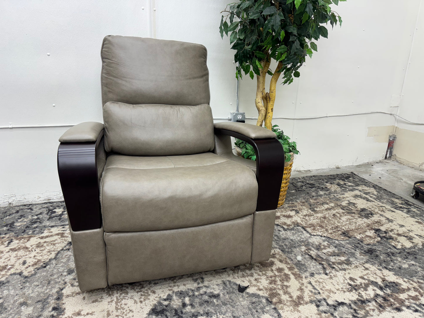 Shayne Leather Power Recliner with Power Headrest