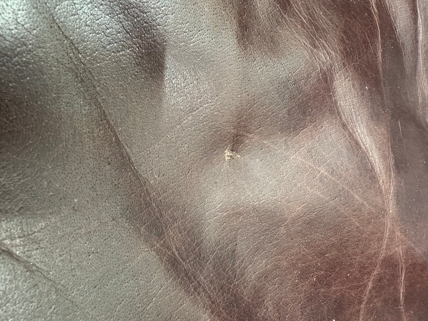 Room & Board Burgundy Loring Leather Sofa