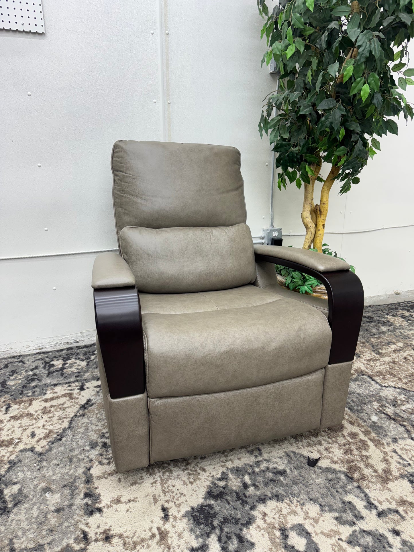 Shayne Leather Power Recliner with Power Headrest