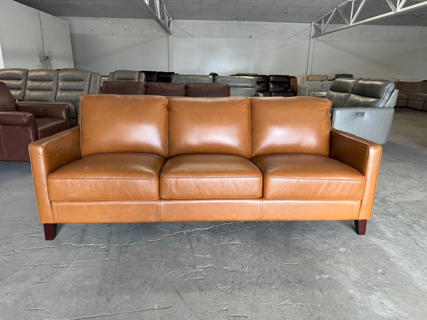 Like New West Park Leather Sofa
